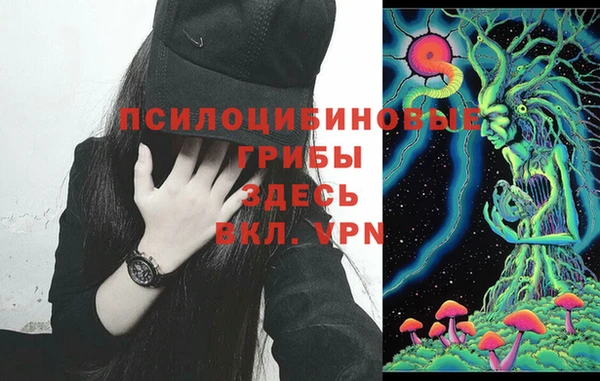 меф Белокуриха